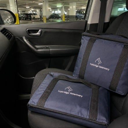 Cooler bags with logo printing