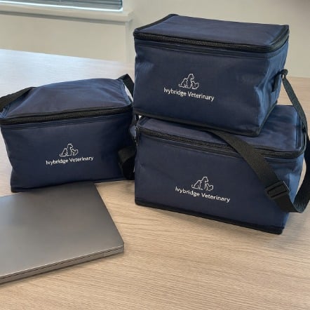 Promotional custom cooler bags with company logo