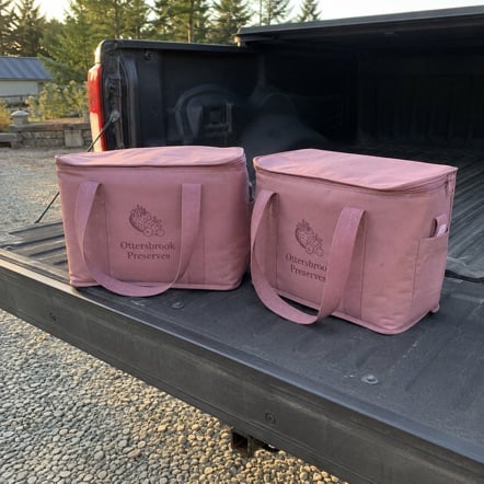 Promotional Non-Woven Coolers